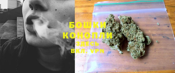 прущие крисы Осинники