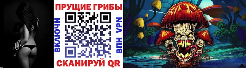 купить наркоту Касли Псилоцибиновые грибы ЛСД