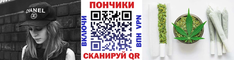 магазин продажи наркотиков  Касли  Бошки марихуана THC 21% 